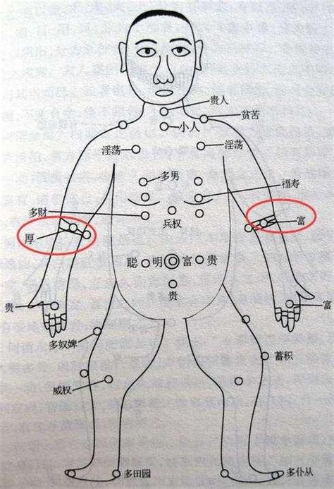 右手手臂有痣|痣的位置透露出這些訊息！上手臂有痣不乏追求。